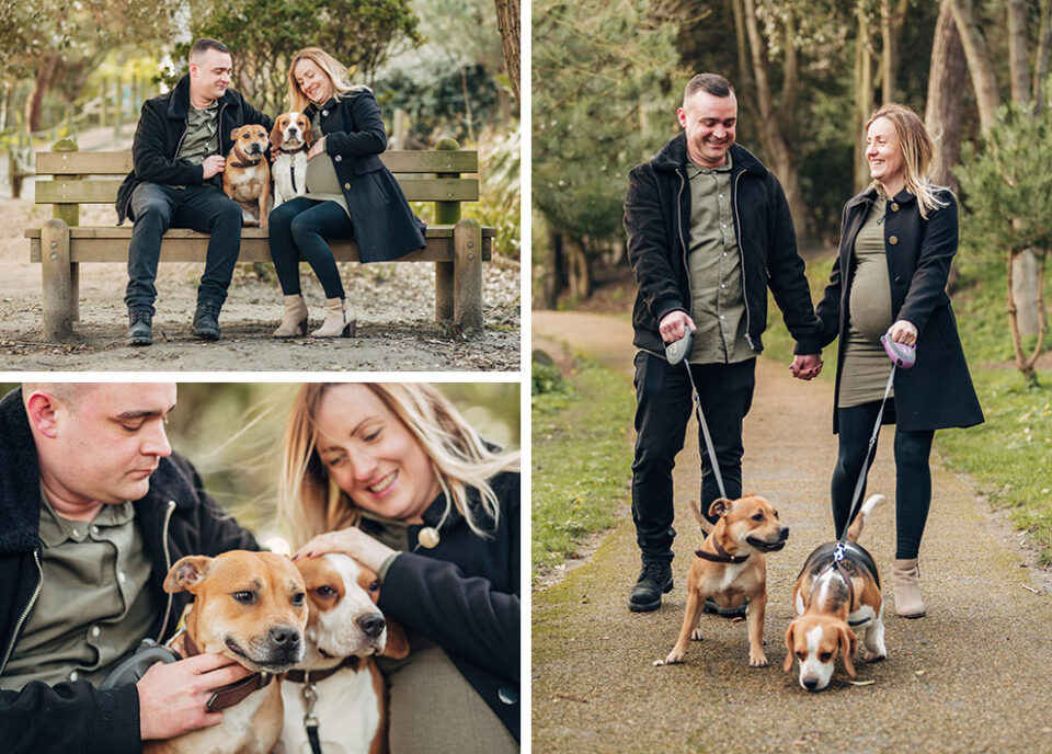 A trio of images of a couple and their two small dogs outdoors in a country park